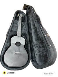 Carbon Cuatro en su estuche real